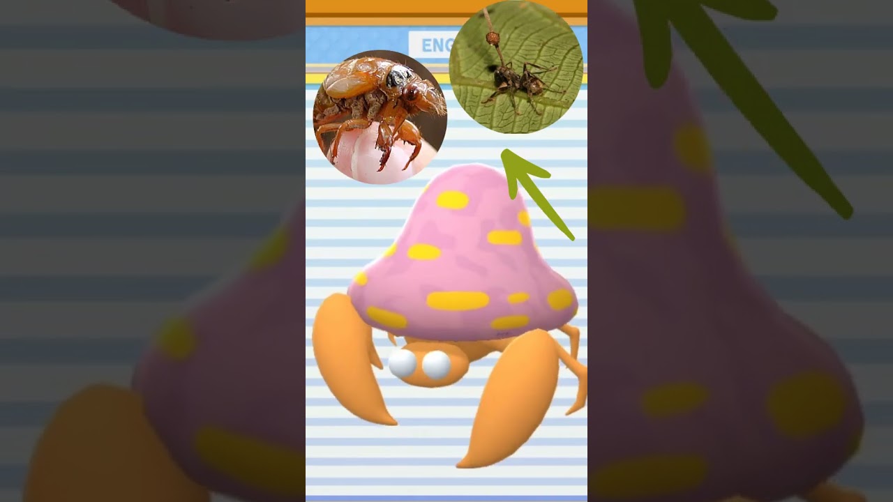 Parasect - Inspiração - #pokemon #paras #parasect