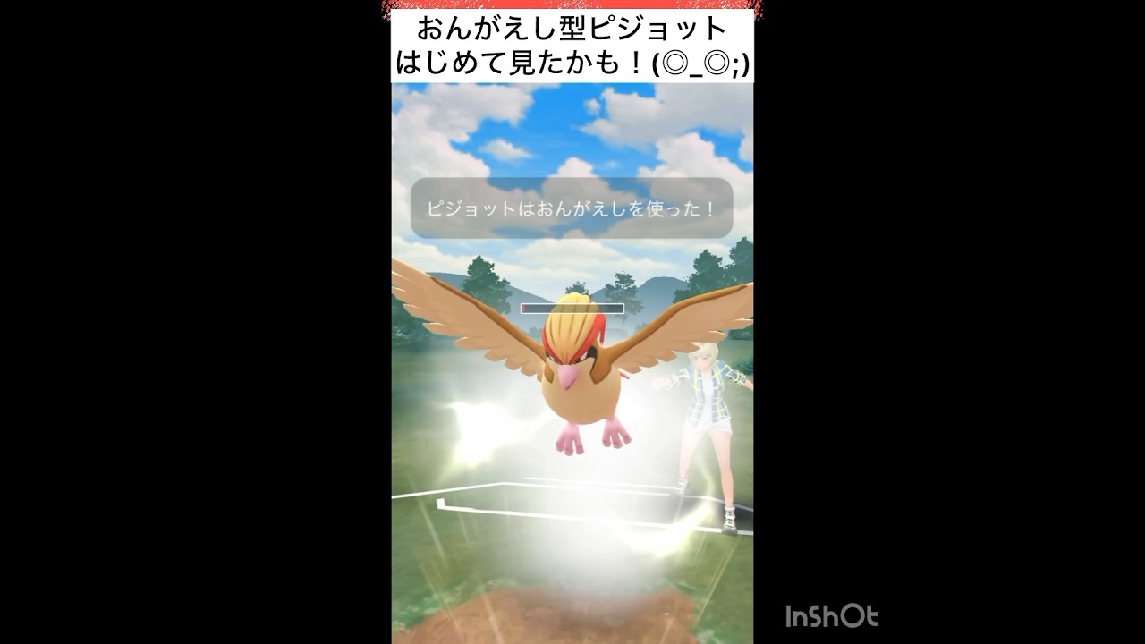 おんがえし型ピジョットとの遭遇！(◎_◎;)