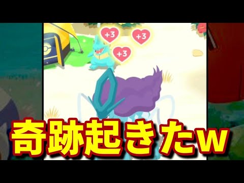 【ポケスリ】奇跡的にスイクン2体目ゲットｗ【ポケモンスリープ】【POKEMON】