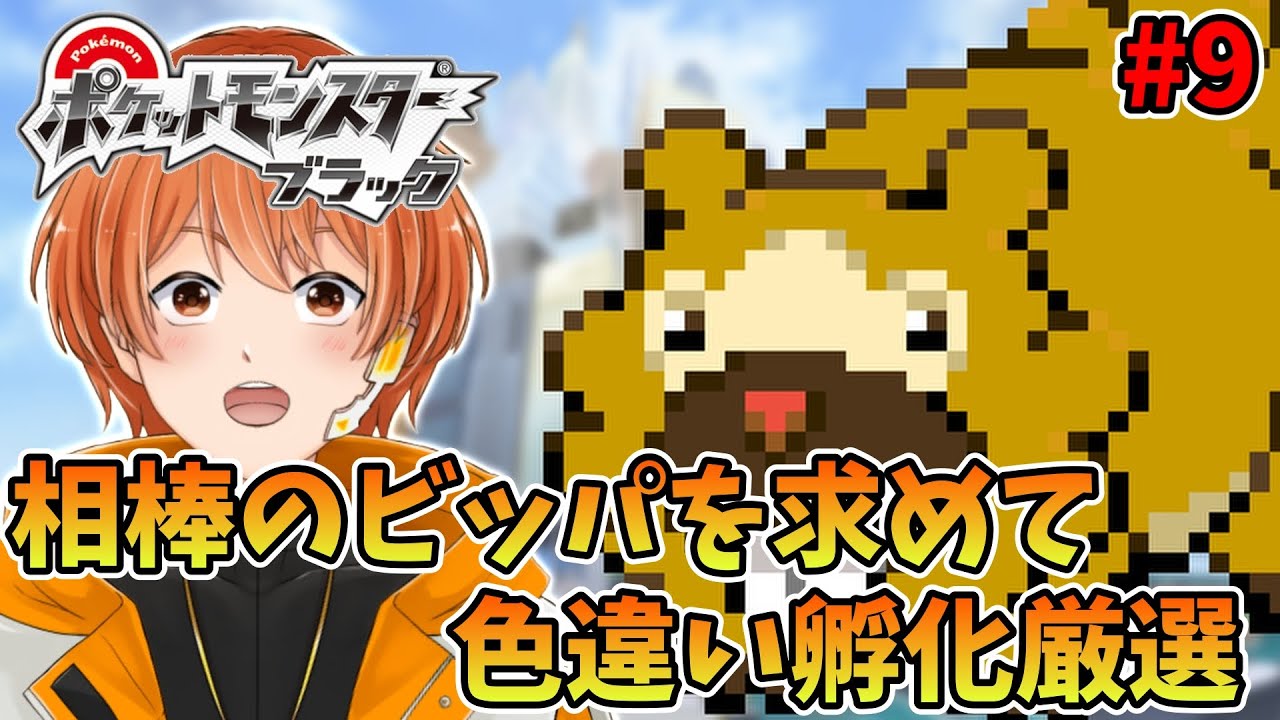 【 ポケモンBW 】孵化厳選編 色違いのビッパ一匹だけで殿堂入り目指す！ #9【 色違い縛り 】