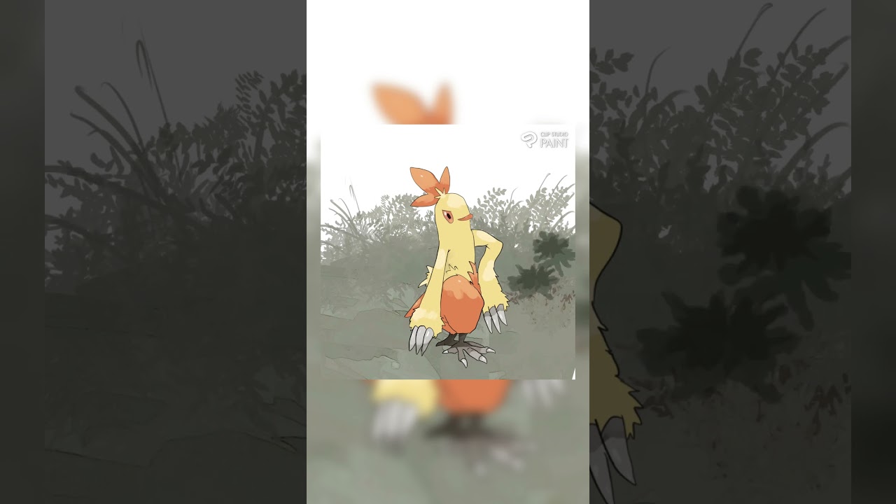 ポケモン描いてみた［ワカシャモ］  #pokemonfanart  #shorts