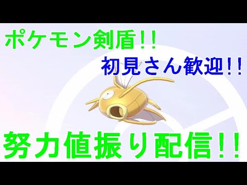 色違い金コイキングに努力値H4D100振る配信！！ ポケットモンスターソード【ポケモン剣盾】