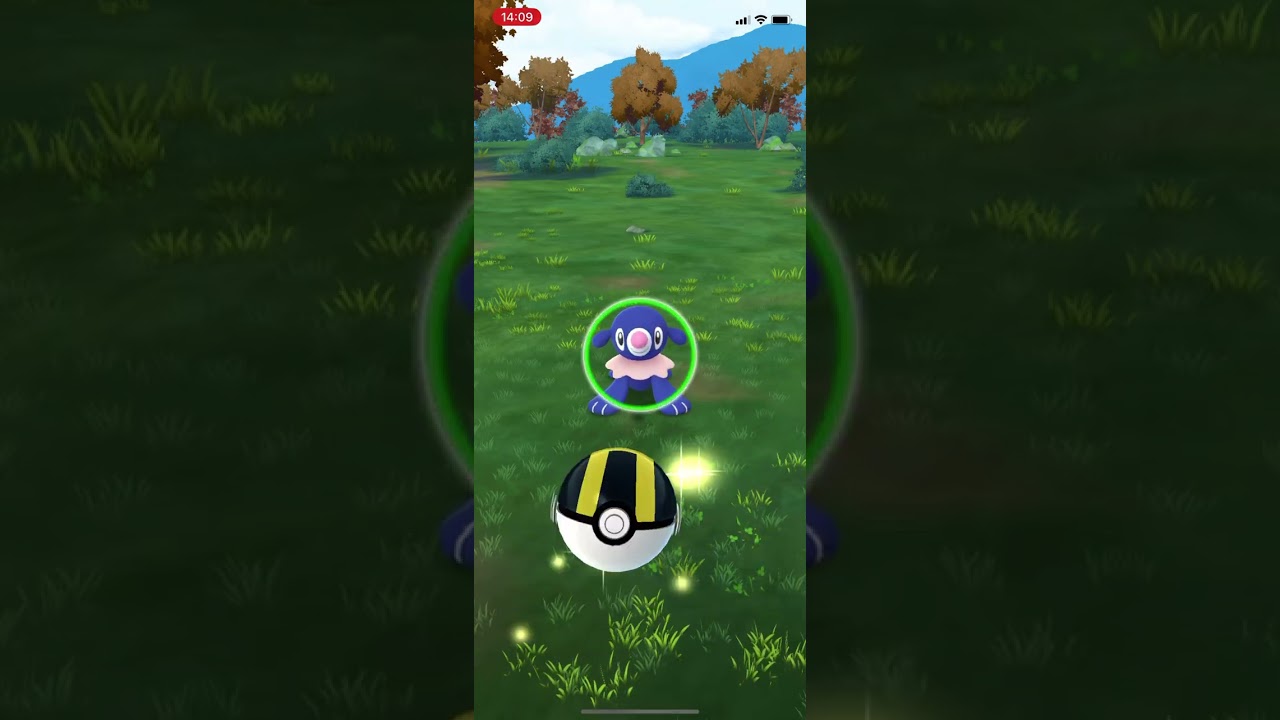 さて、2024年8月31日のPokémon GO アシマリ コミュニティデイで、出てきてくれた1体目の色違いアシマリ♂ GET!!  #shorts