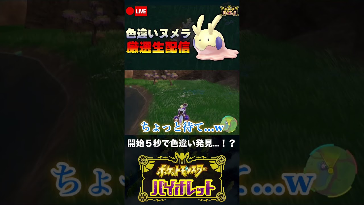 色違い厳選開始の下見で早速色違いヌメラに遭遇してしまい困惑する男【ポケモンSV】 #shorts