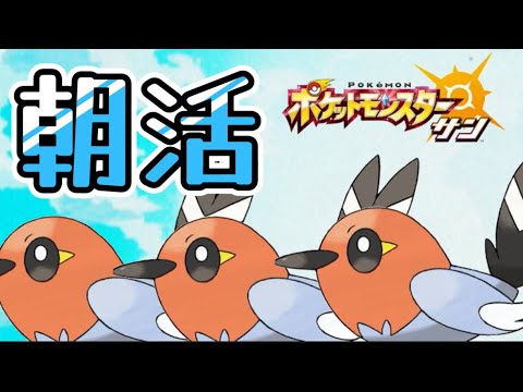ヤヤコマがかわいい問題【ポケモンサン　アーカイブ】