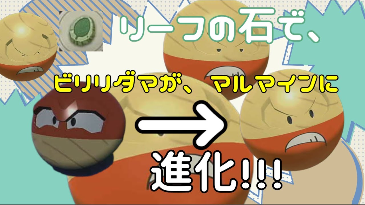 ビリリダマを、リーフのいし、でマルマインに、進化。【マルマイン】【リーフのいし】【ビリリダマ】