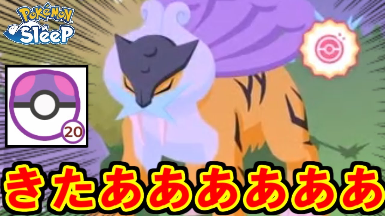 奇跡のチャンスライコウだあああ！！！！！！【ポケモンスリープ】