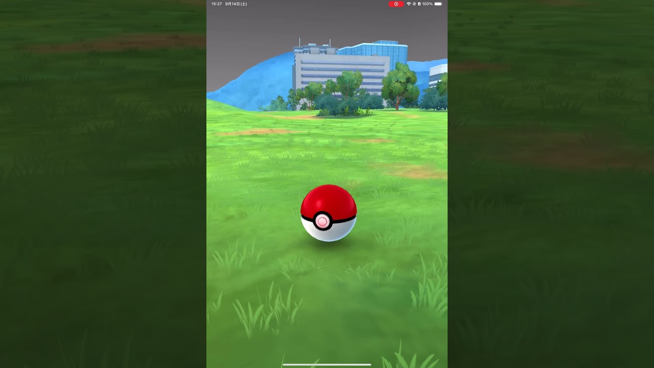 【ポケモンGO】色違いポニータ（ガラルのすがた）！コミュニティデイ　#shorts