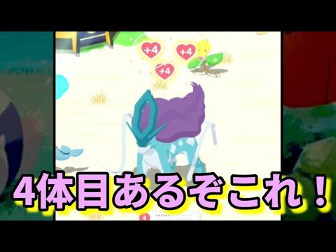 【ポケスリ】後半に大成功連発⁉スイクン4体目見えてきた【ポケモンスリープ】【POKEMON】