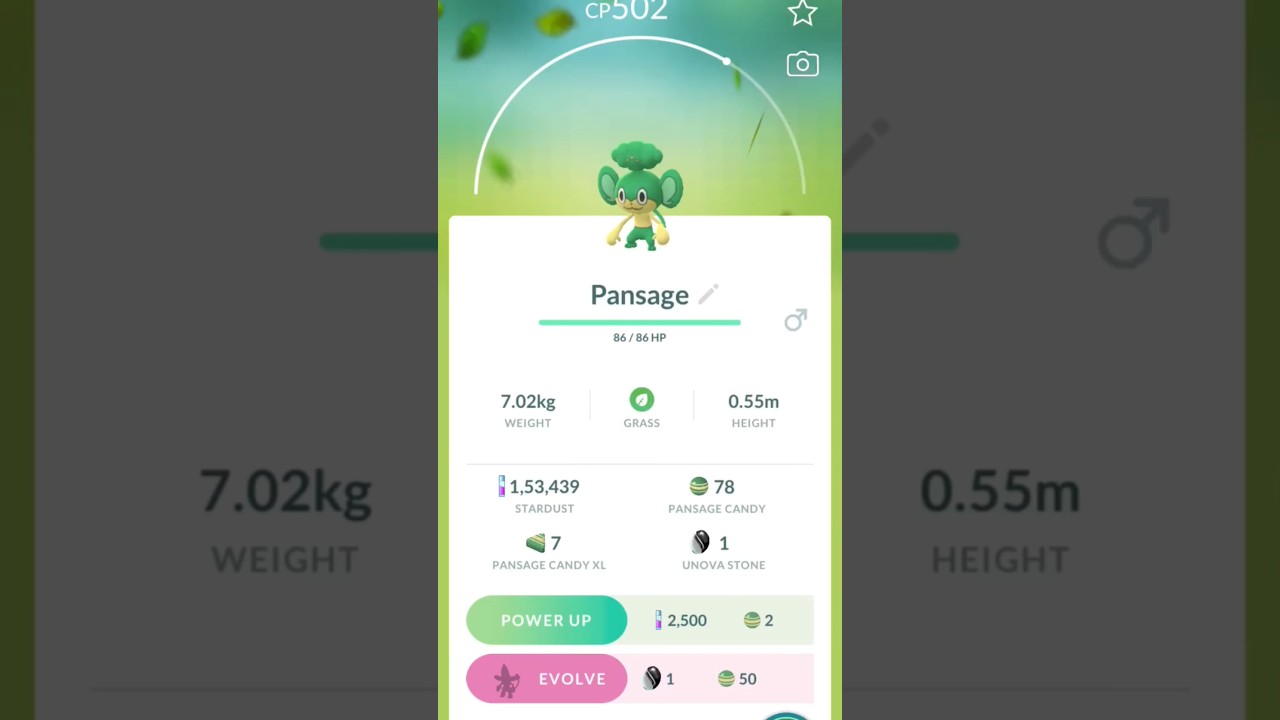 PANSAGE ( CP-502 ) EVOLVED TO SIMISAGE ( CP-1245 ) || POKEMON GO GAMEPLAY 🎮 || DARK VENOM 🇮🇳