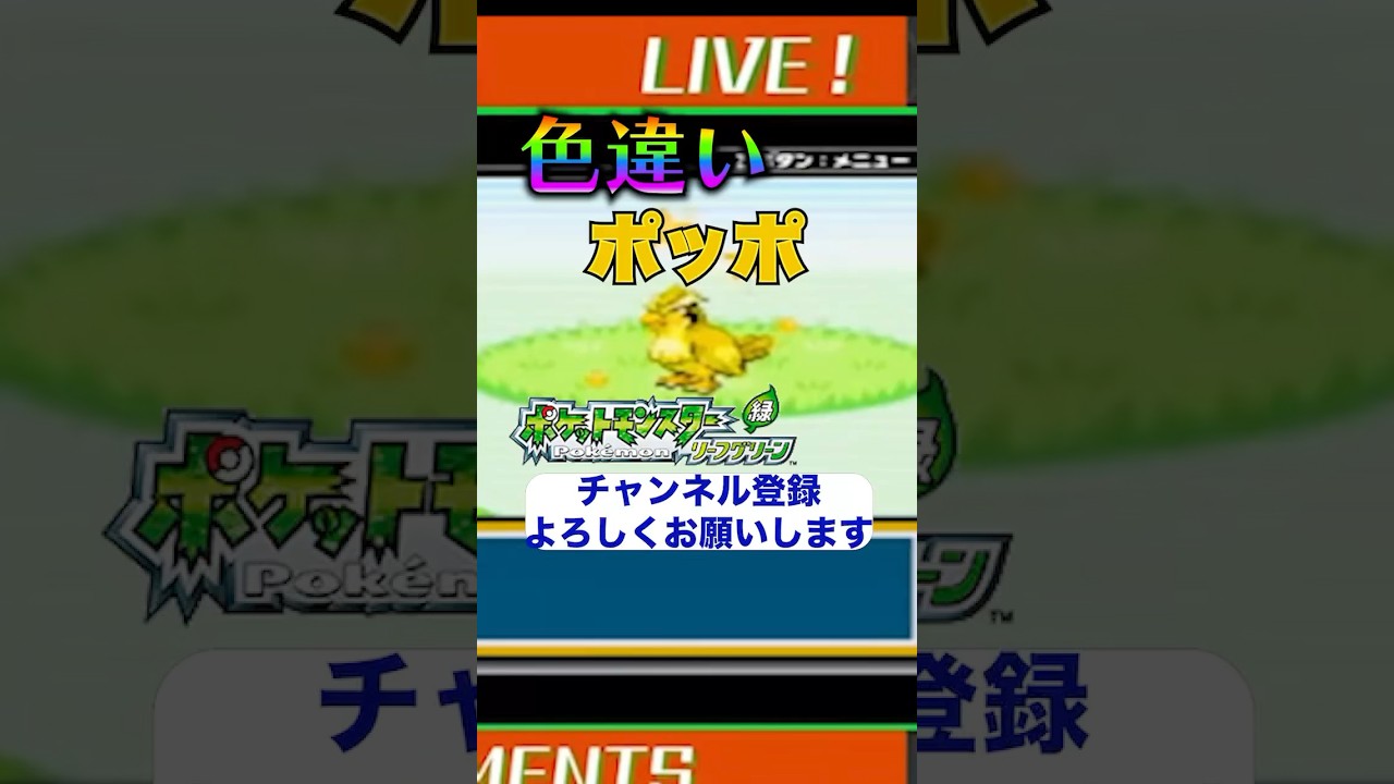 【ポケモンFRLG】色違いポッポ！！？？けどライコウの為にリセットするしかない泣#ポケモン #色違い縛り  #ポケモンsv #shiny #pokemon #野生色違い厳選 #ゲーム実況