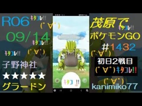 茂原でポケモンGO #1432