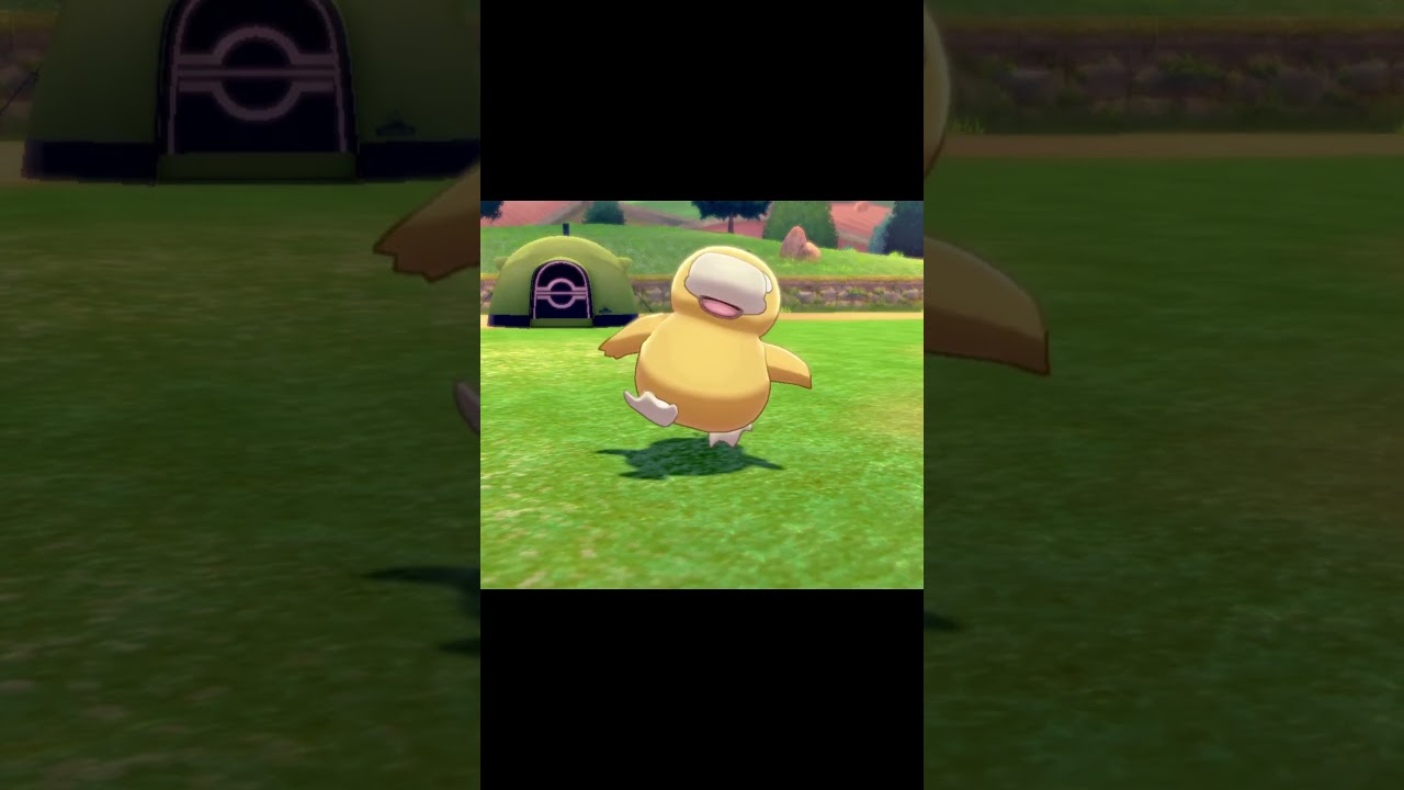 駆け寄ってくるコダック　#Shorts