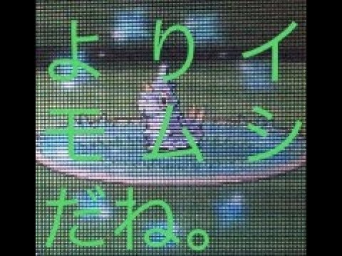 [ポケトレ]#6 色違いケムッソ捕獲~ハクタイの森~ Getting shiny Wurmple in Eterna Forest