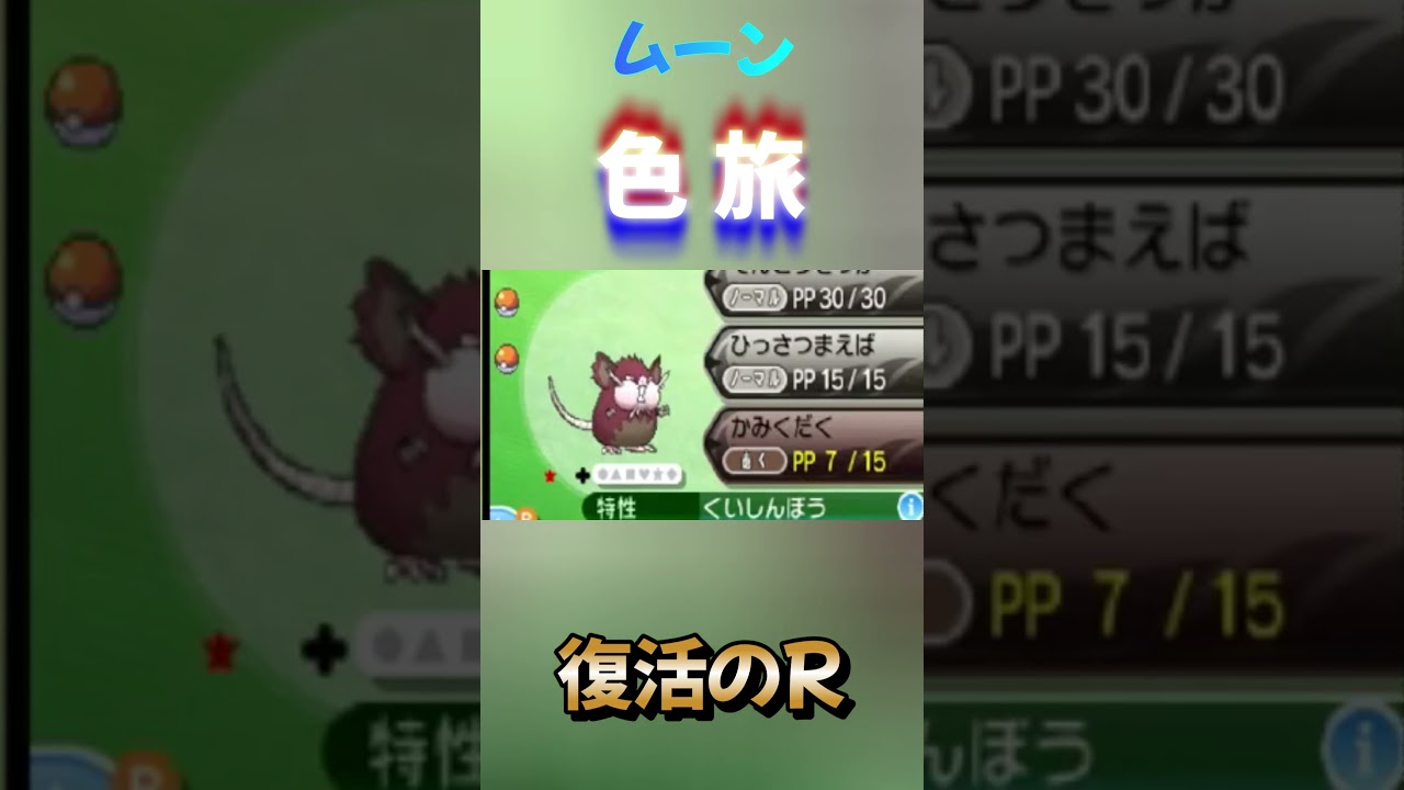 【ポケモンムーン】色違いコラッタに愛されている男　#shorts  #色違い  ＃ポケモン
