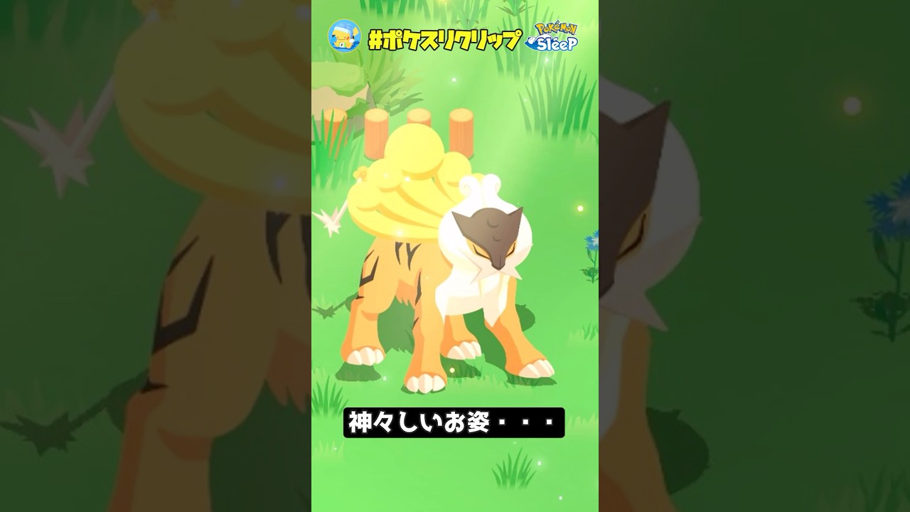 日光浴中の『色違いライコウ』を拝ませていただきました【ポケモンスリープ】#ポケスリクリップ #shorts