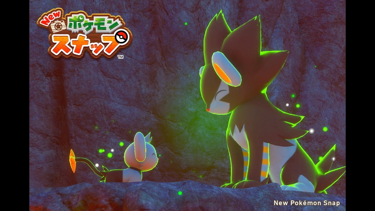 【#shorts 】#6 Newポケモンスナップ　コリンクとレントラーの親子愛！