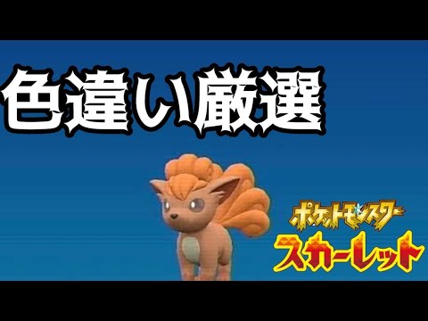 【ポケモンSV】色違い厳選！ロコン！part18『ポケットモンスタースカーレット』＃ライブ