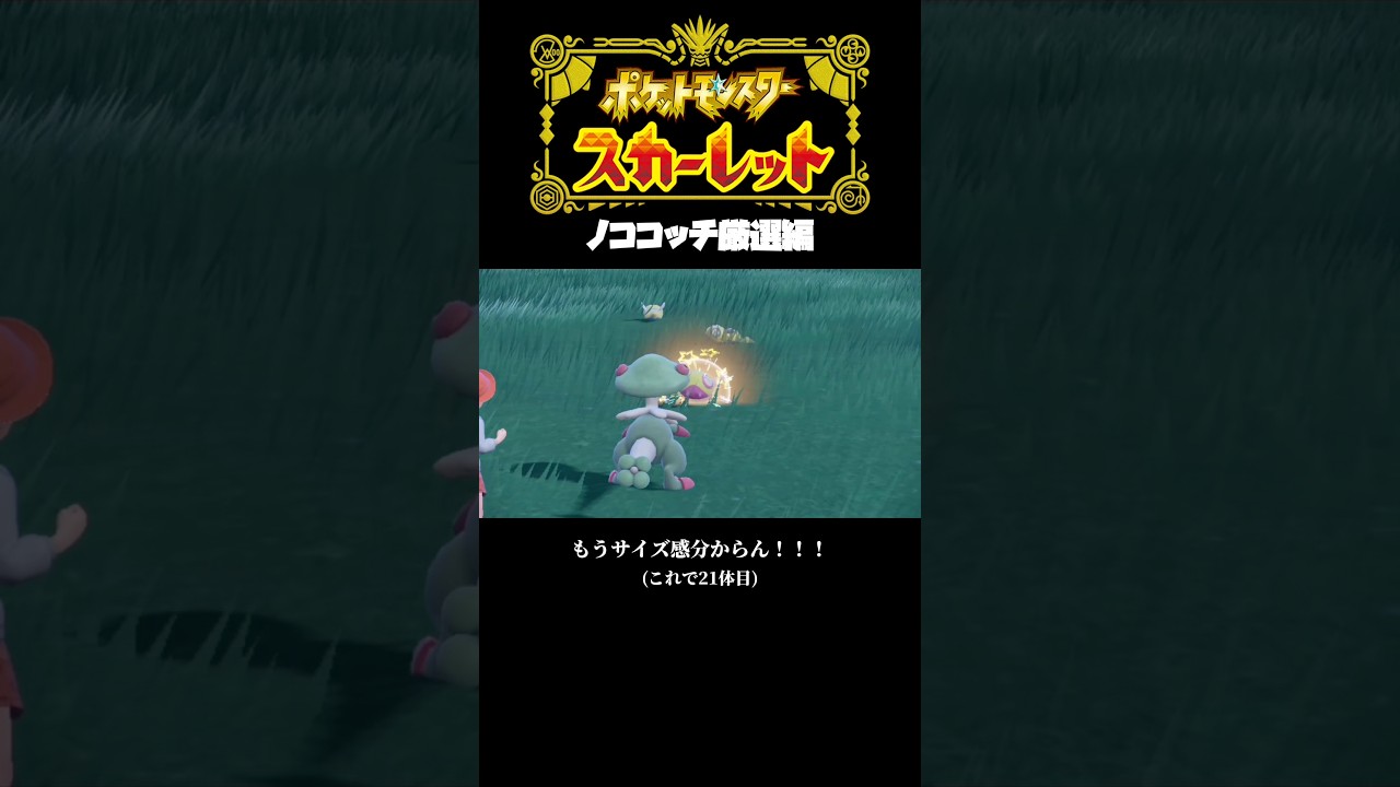 【豪運】ノココッチ厳選part2【ポケモンSV】 #shorts #ポケモンsv #色違いポケモン #ノコッチ #ノココッチ