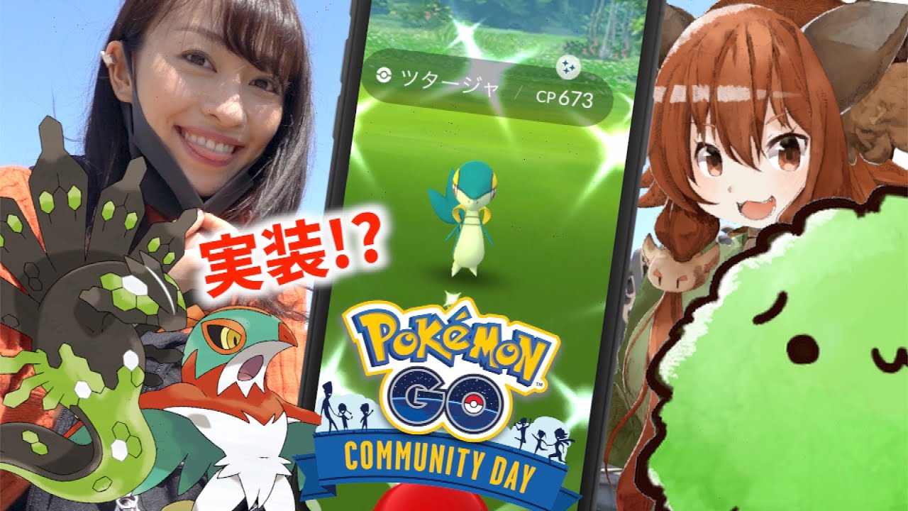 色違いツタージャ厳選してたら新ポケのルチャブル！？ツタージャコミュニティデイでアットおどろくさんコラボした結果！！【ポケモンGO】