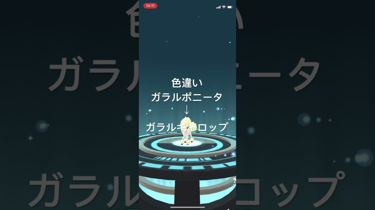 ポケモンGO 色違いガラルポニータ出現！色違いガラルギャロップへ進化！ #pokémon #ポケモンgo #ポケモン