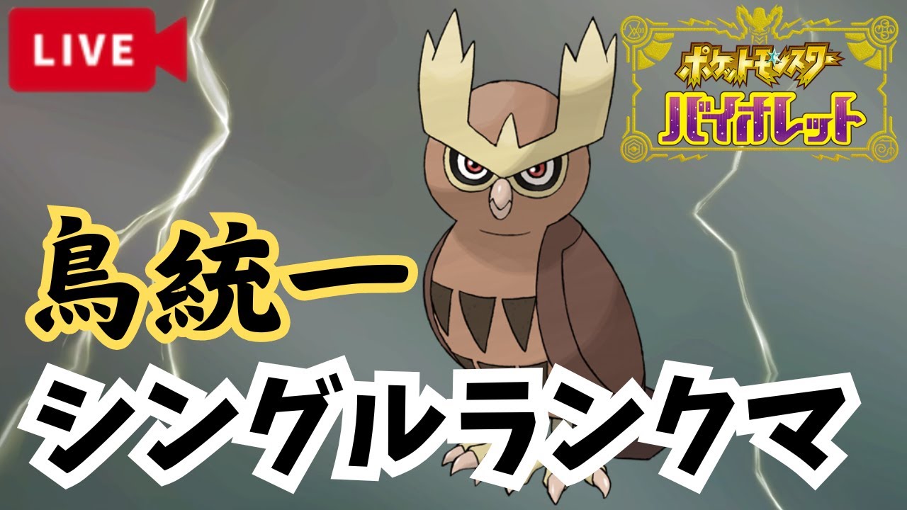 【ポケモンSV】ヨルノズクかわいすぎ問題【2024/9/16】