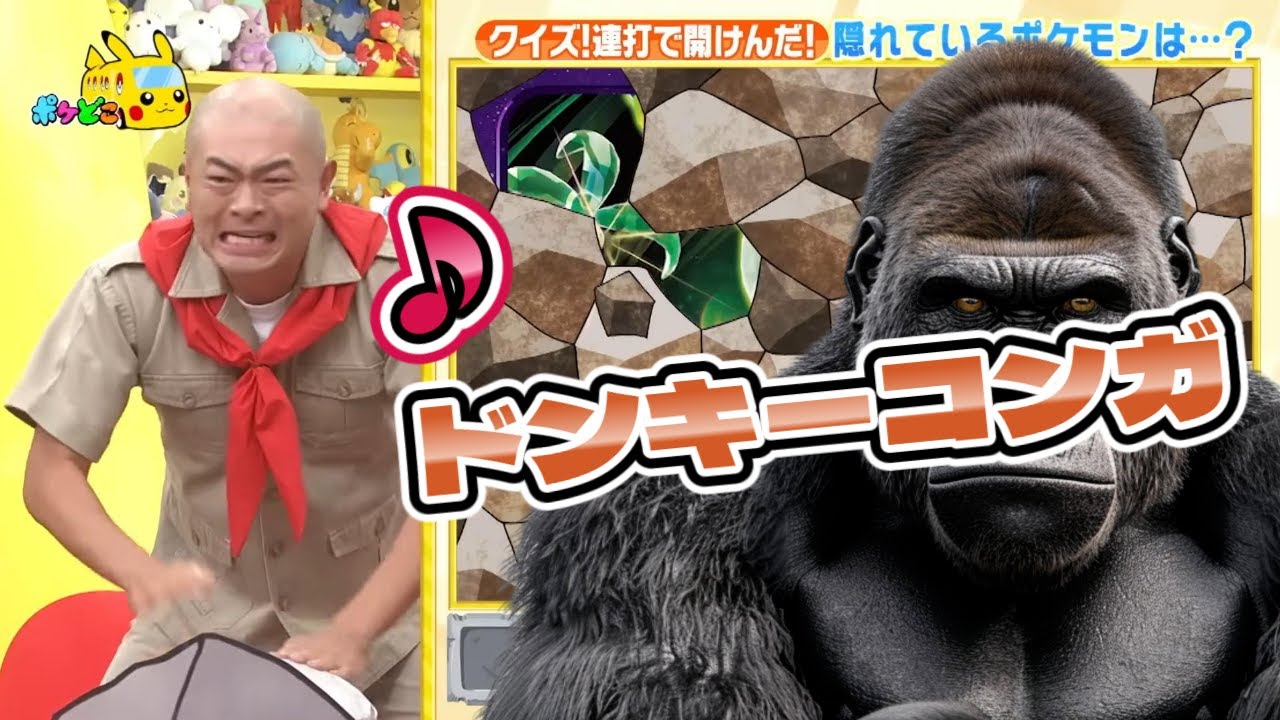 ｢あばれる君｣がドンキーコンガを連打しまくる ポケモン番組 ポケモンとどこいく！？ たかはしじじ バトル参戦！ 【 ポケどこ 】