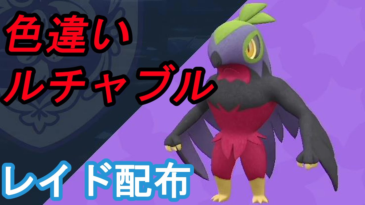 （ポケモンSV）色違いルチャブルのレイド配布（周回レイド）