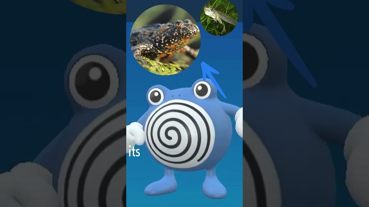 Poliwhirl - Inspiração - #pokemon #poliwag #poliwhirl #poliwrath