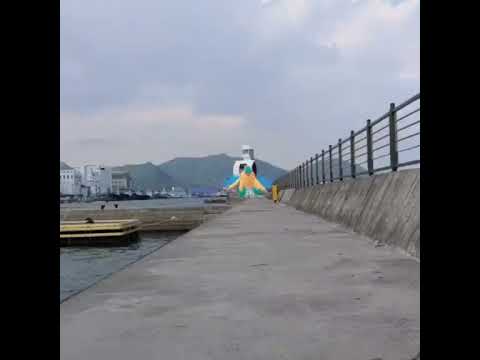 아케오스 ( Archeops ) アーケオス ( 始祖大鳥 )