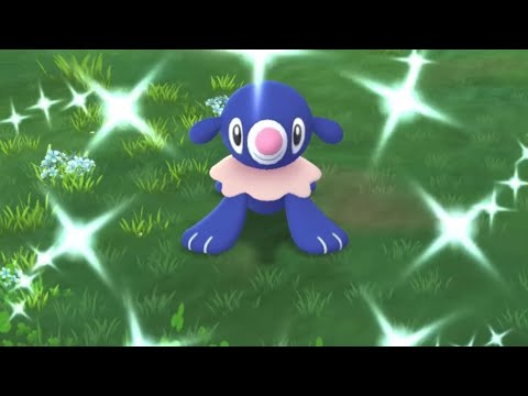 【ポケモンGO】コミュニティデイ:アシマリ　スペシャルリサーチ
