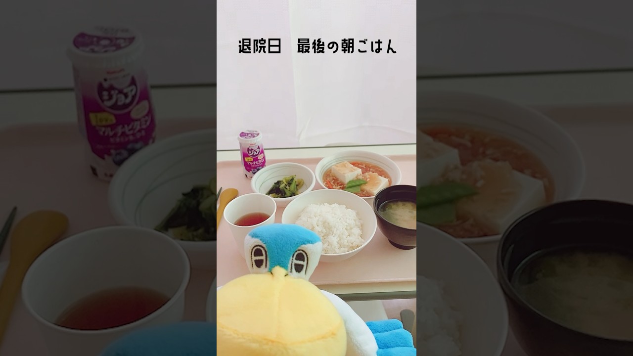 ペリッパーと入院中のご飯紹介【ポケモンsv】#shorts