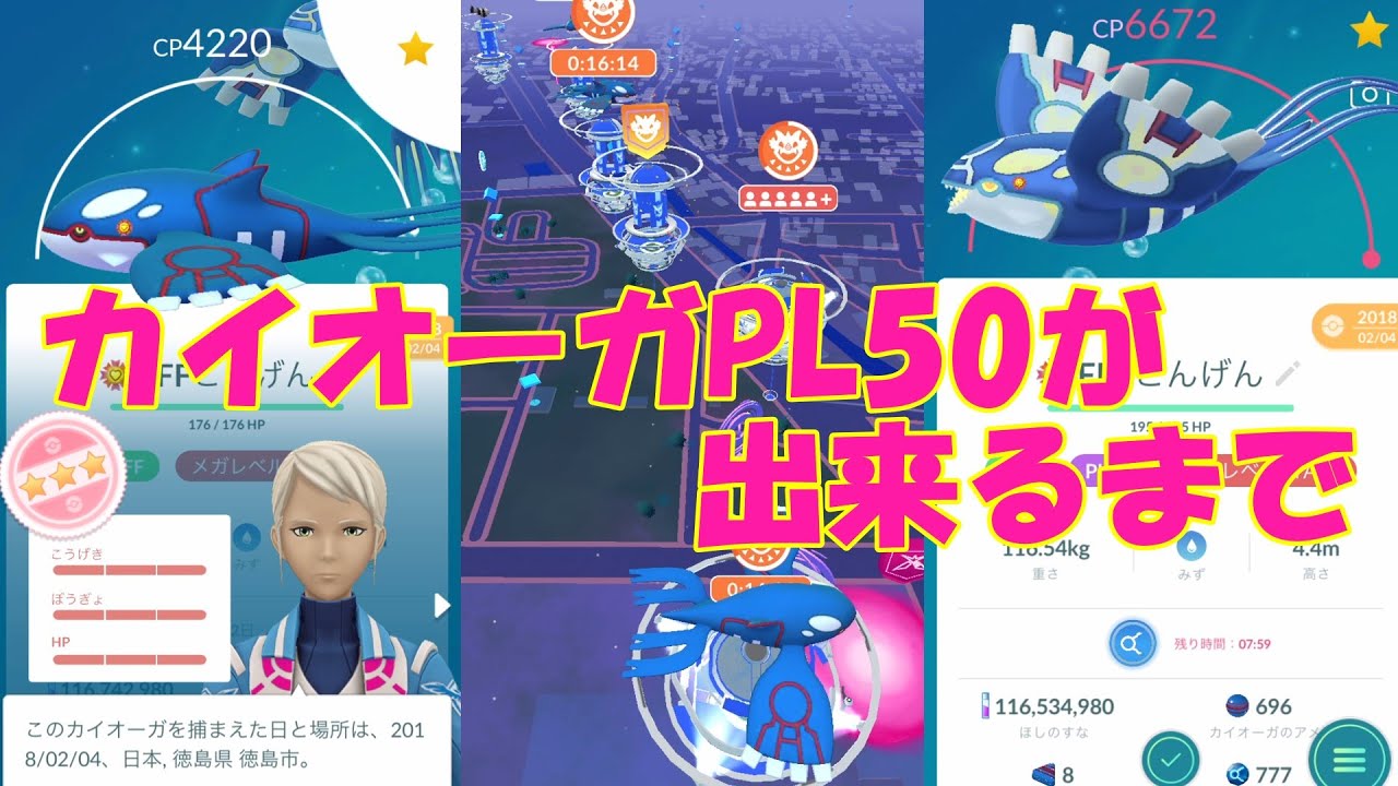 レイドアワー💦~カイオーガPL50ができるまで~