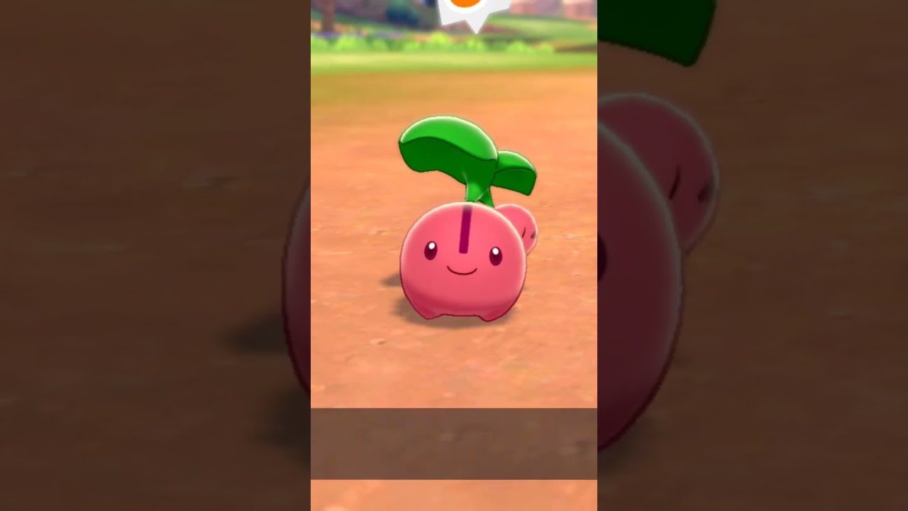 チェリンボ Cherubi【ポケモン剣盾】