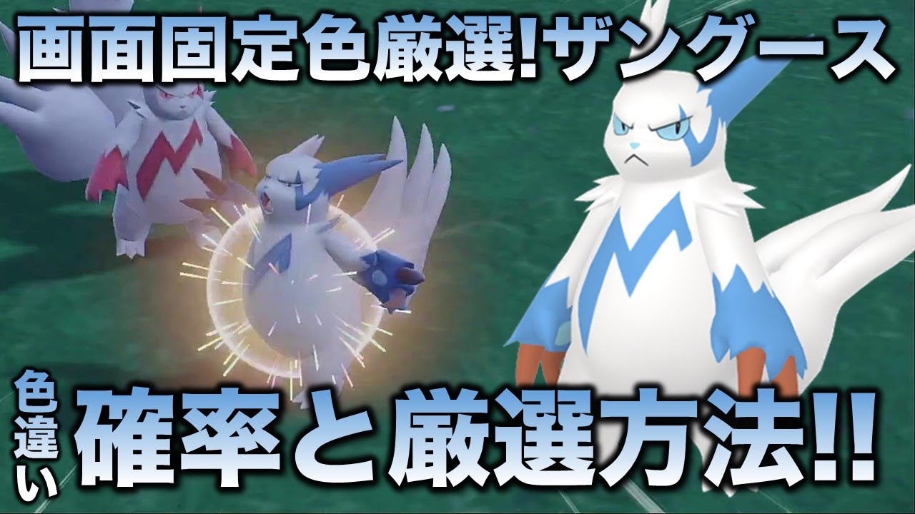 【画面固定!!色厳選】ザングース編!!【ポケモンSV/スカーレット・バイオレット】