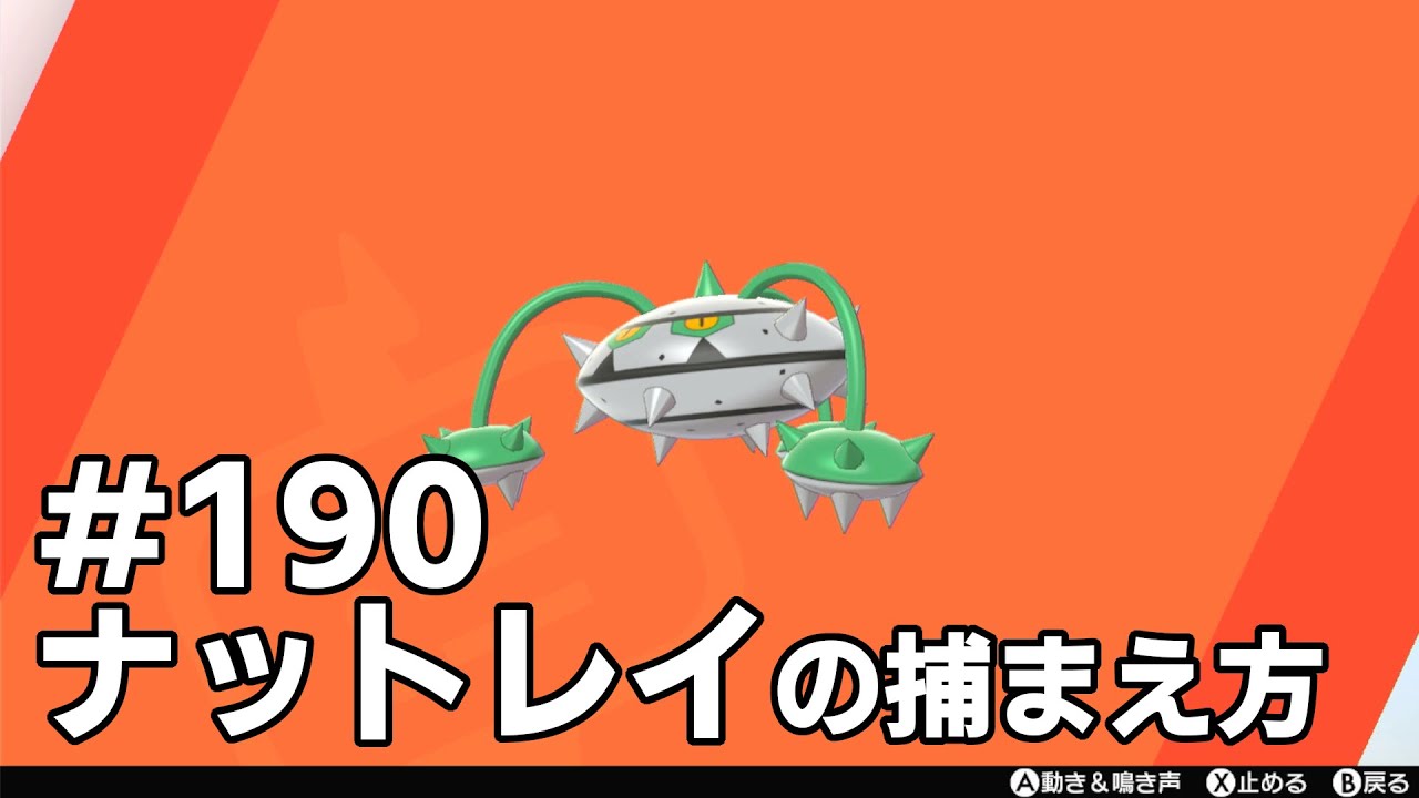 ナットレイを探している方に見てほしい動画