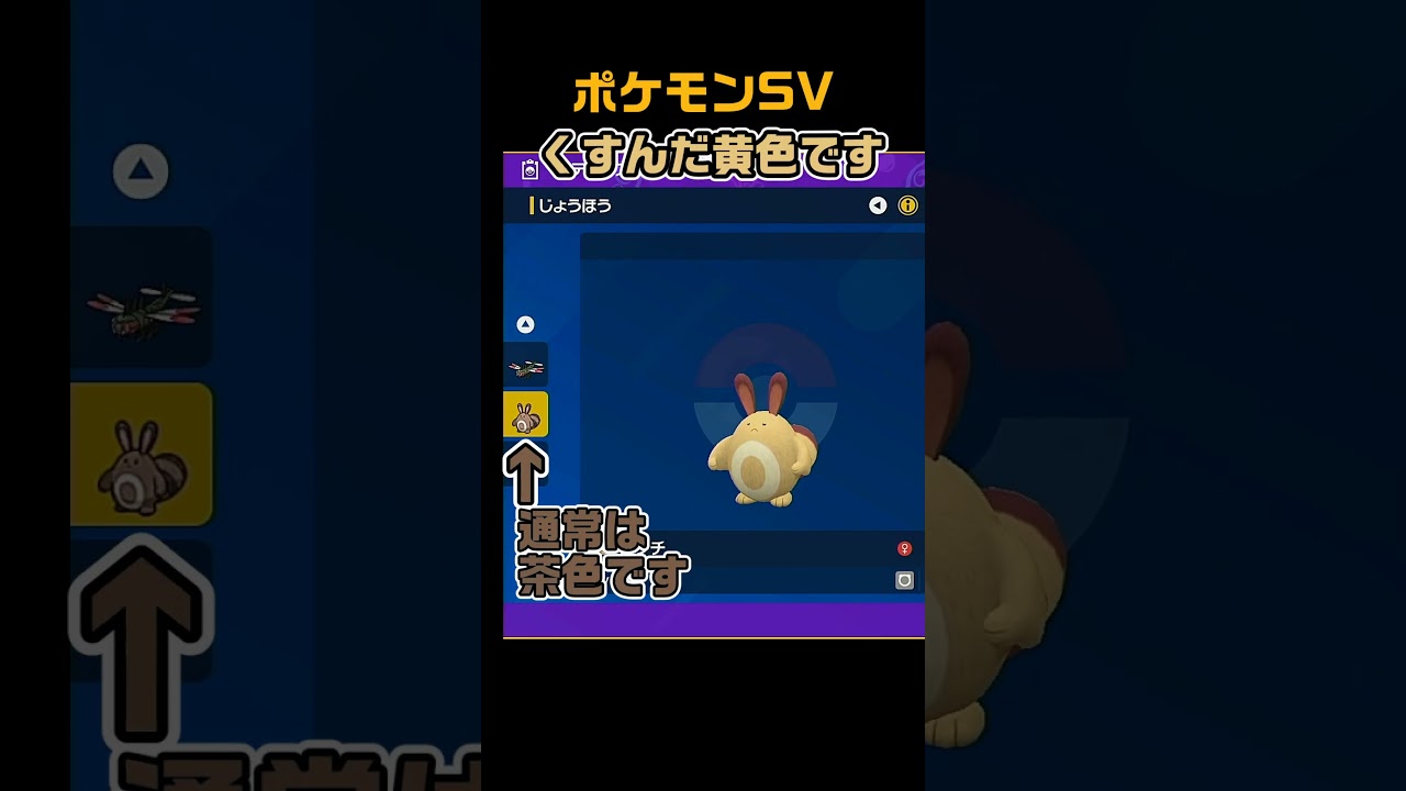 色違いオタチ　 #shorts　ポケモンSV