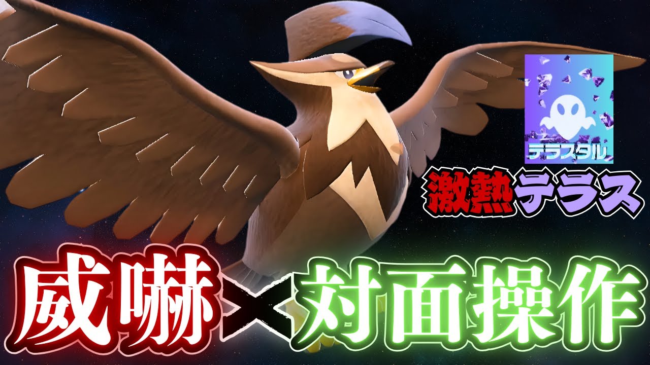 ムクホークさん、採用率1.8％のとあるテラスにより最強と成る【ポケモンSV】