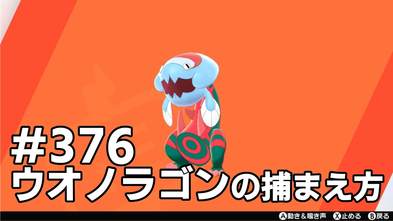 ウオノラゴンを探している方に見てほしい動画