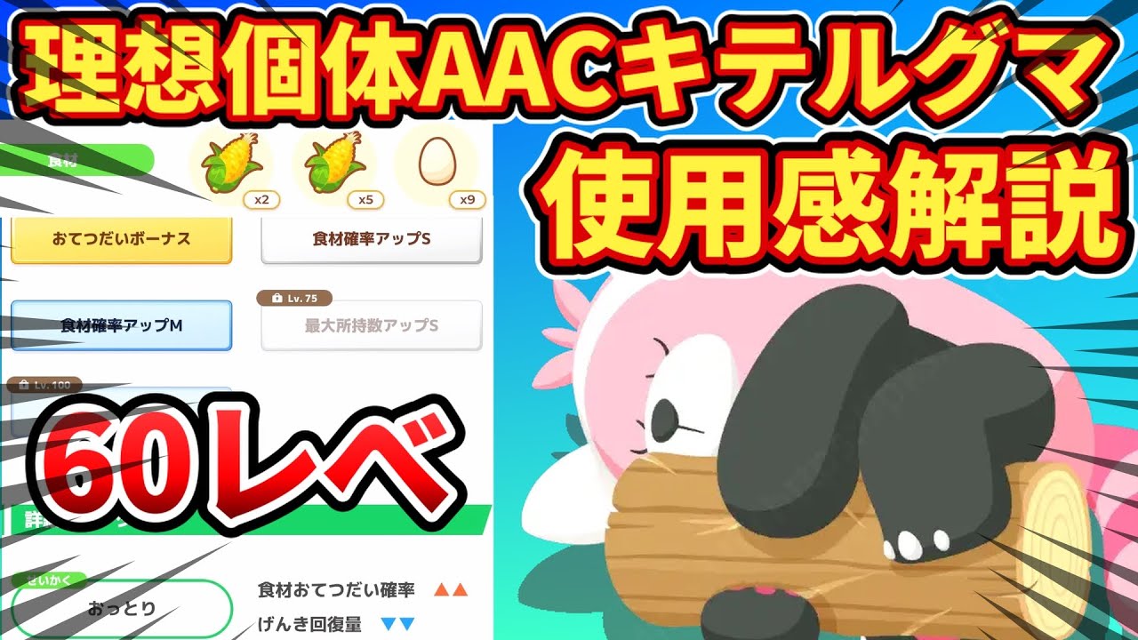 【ポケスリ界初】最強AACキテルグマ使用感！卵量も計測【ポケモン】