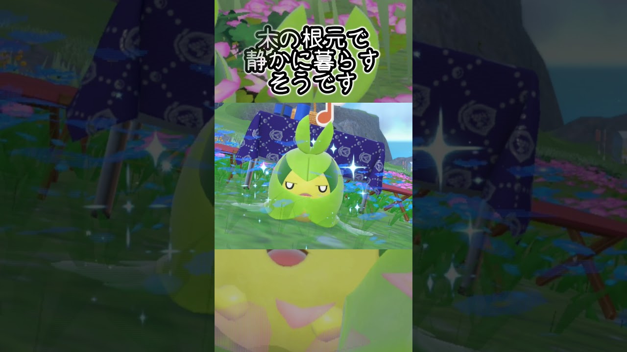 クルマユ6匹とピクニック【ポケモンSV】#Shorts