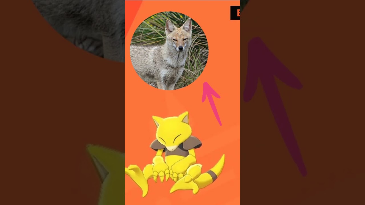 Abra - Inspiração - #pokemon #abra #kadabra #alakazam