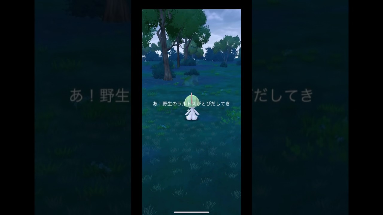 今日のお散歩おこうラルトスが…