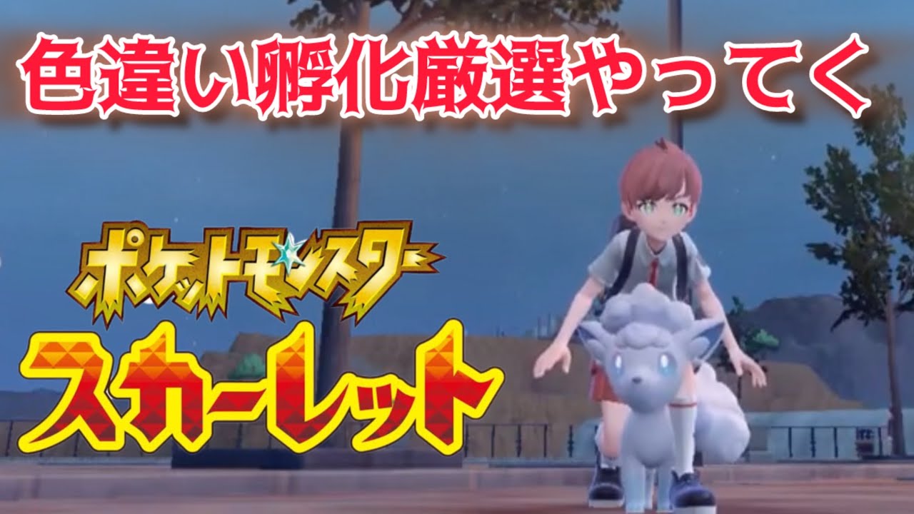 【ポケモンSV】色違い厳選！ロコン→ガーディ！part21『ポケットモンスタースカーレット』＃ライブ