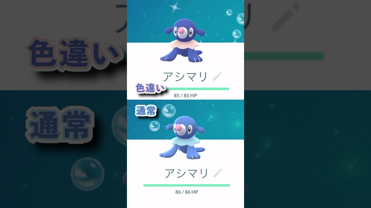 【コミュニティデイ】アシマリ色違い！#ポケモン #ポケモンgo #ポケgo #色違い #コミュニティデイ #pop #kpop