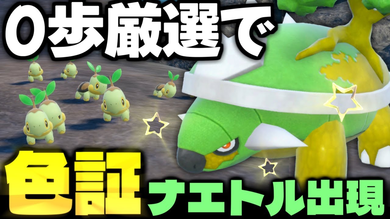 【解説あり】そうぐうパワーで激レア色証出現!?シンオウ御三家｢ナエトル｣の色証厳選を激アツスポットでしてドダイトスに進化させよう!!【ポケモンSV】【色違いポケモン】【色違い厳選】