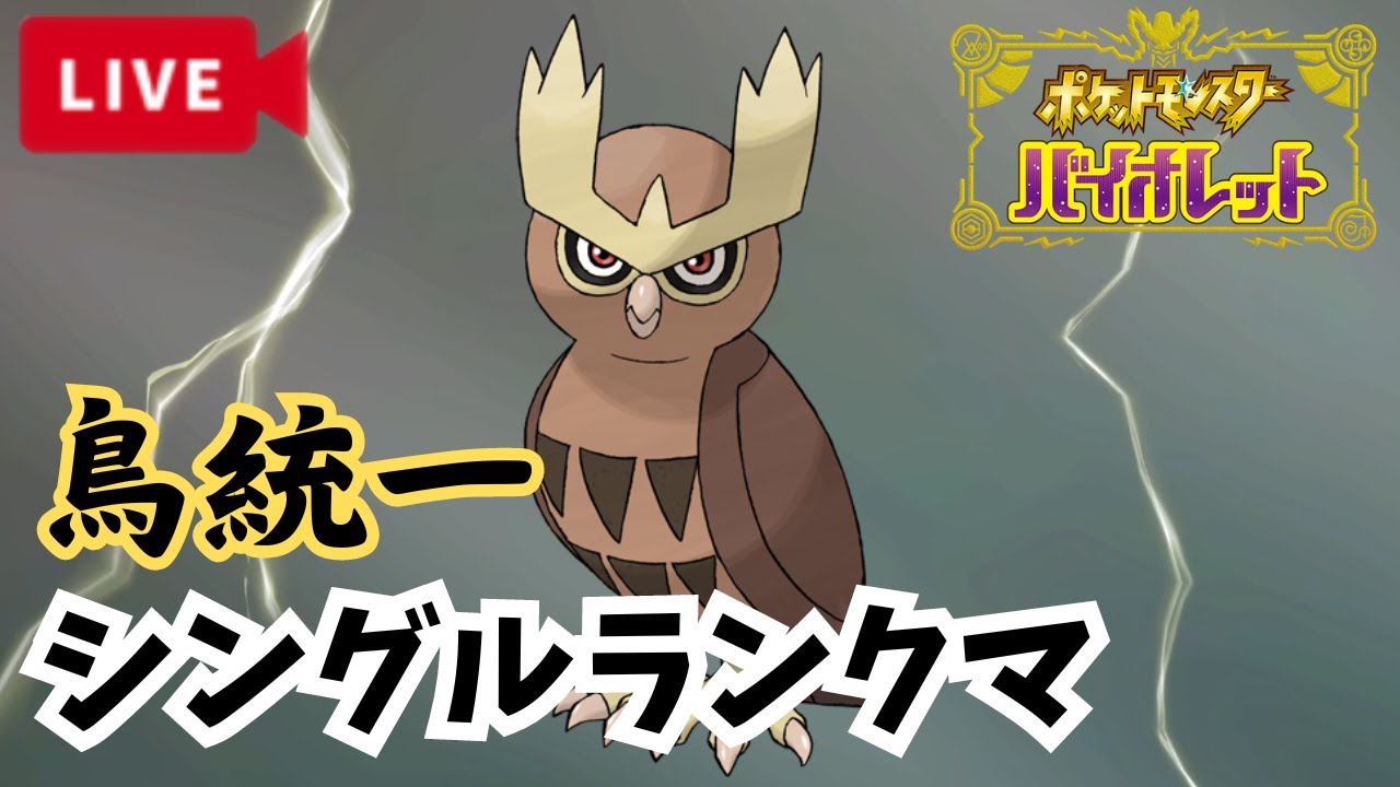 【ポケモンSV】ヨルノズク特訓最終日【2024/9/21】