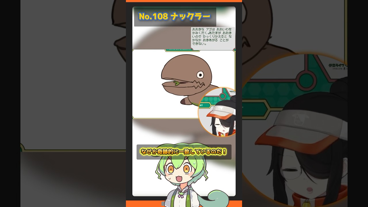 【イルミーゼ コータス ナックラー】ずんだもんによる伊東ライフのお絵描きポケモン図鑑解説 #pokémon #shorts #伊東ライフ