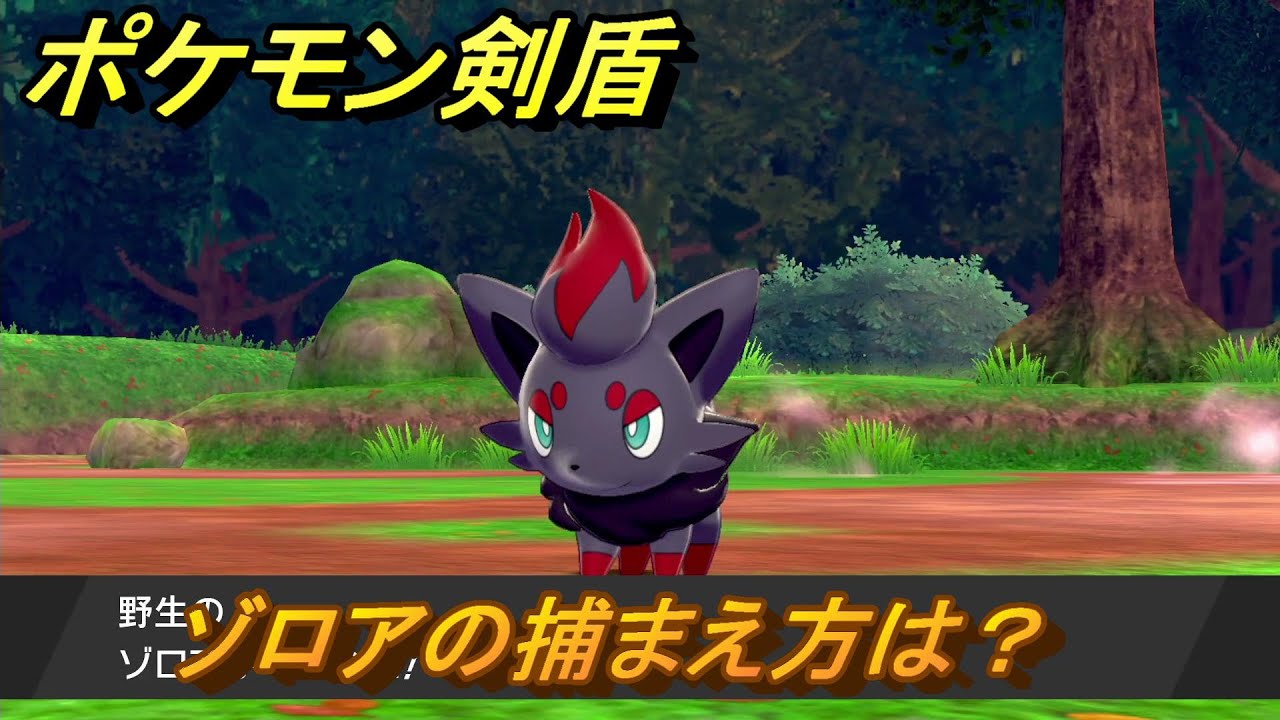 ポケモン剣盾　ゾロアを捕まえる方法！オススメの場所は？天気は？ポケモン図鑑コンプへの道！　最新版【ポケモンソード・シールド】
