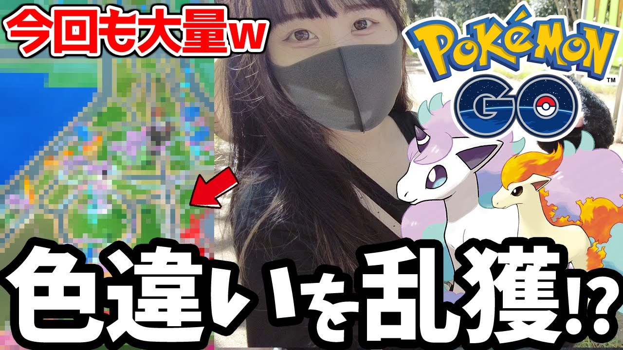 【検証】ポニータコミュニティデイで色違いを"何匹捕獲できるか"ポケGO初心者🔰が調査してみた結果...！【ポケモンGO】